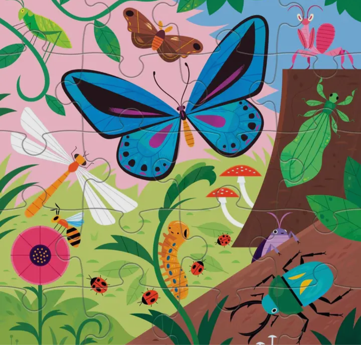 Bugs & Birds Magnetic Puzzles