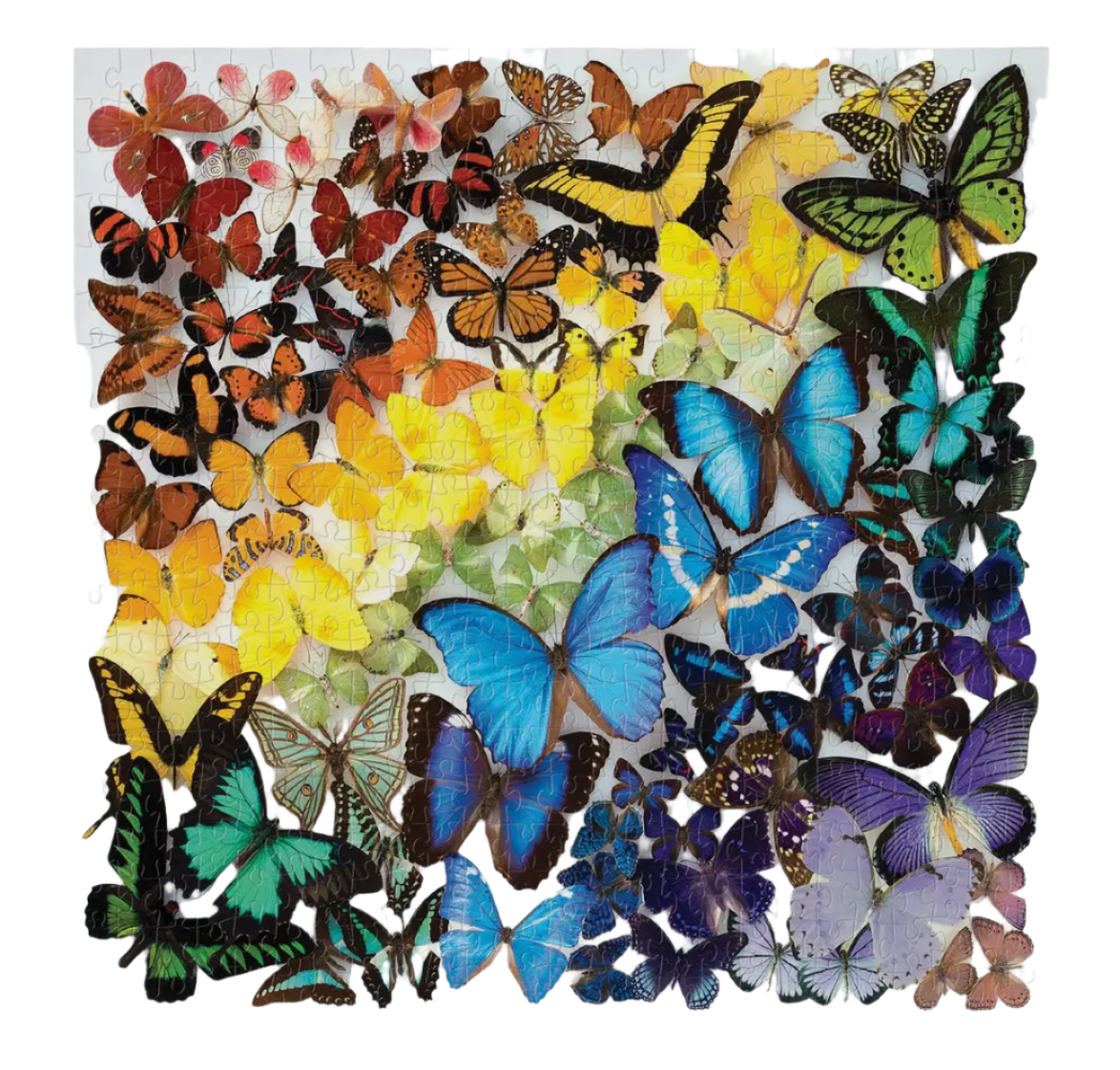 Chronicle Books Rainbow Butterflies 500 Piece Puzzle